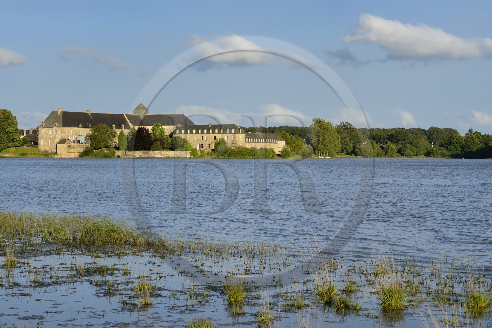 France, Ille-et-Vilaine (35), forêt de Brocéliande, l'abbaye de Paimpont en bordure de l'étang