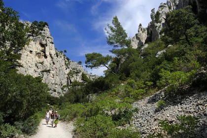 France, Bouches-du-Rhône (13), Cassis, le sentier menant à la calanque d'en Vau