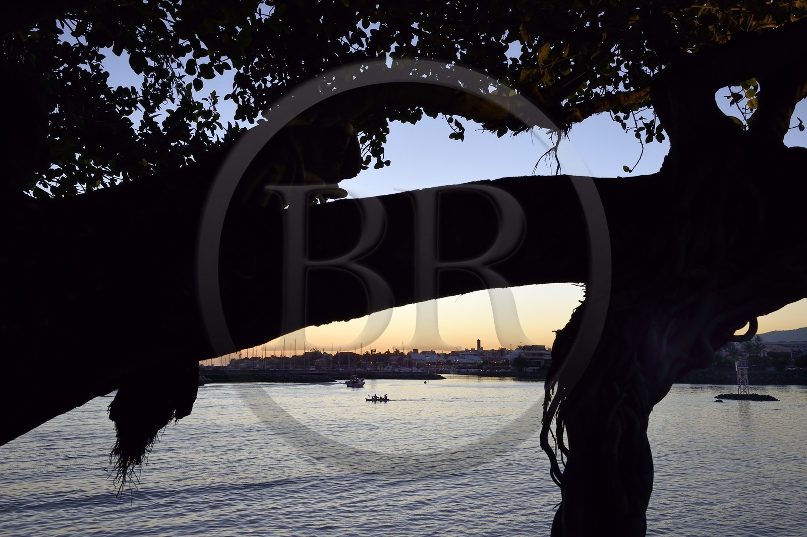 France, Ile de la Reunion, ville de Saint-Pierre, quartier de Terre Sainte