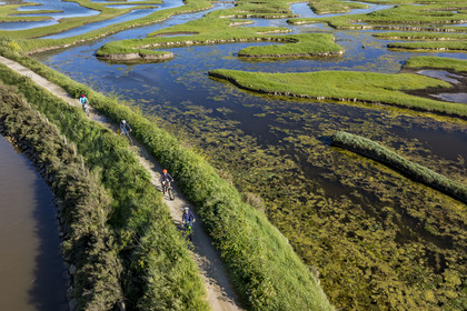 France, Vendée (85), Talmont-Saint-Hilaire, marais de la Guittière dans l'arrière pays de la Pointe du Payré, cycliste sur la piste de la véloroute Vendée Vélo Tour et Vélodyssée au passage du Cul d’Ane, marais aménagés pour la pisciculture de dorades, mulets et anguilles (vue aérienne)