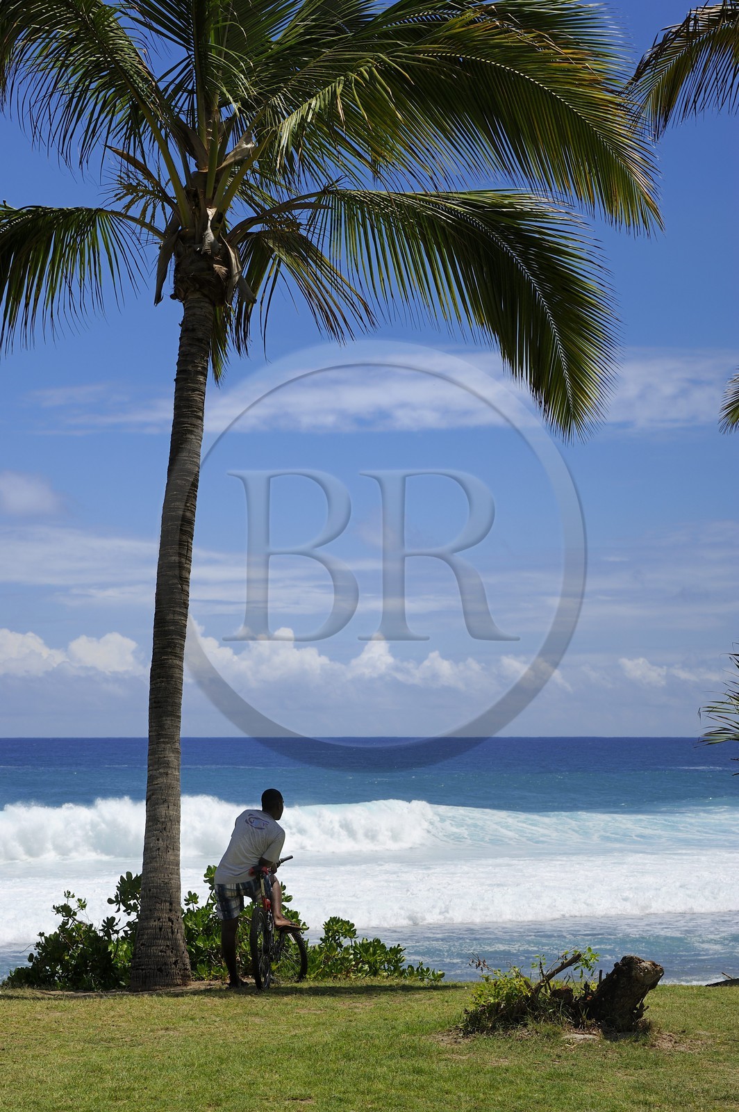 France, île de la Réunion, la côte sud, plage de Grand-Anse