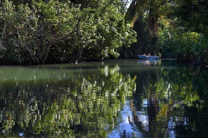 Caraïbes, Ile de la Dominique, Portsmouth, touristes découvrant les rives de l'Indian River en barque