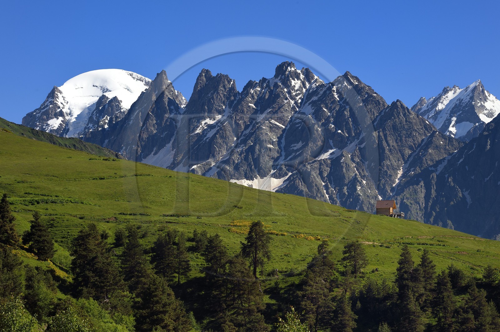 Géorgie, Haute Svanétie (Zemo Svaneti), Mestia, sur les contrefort du mont Ouchba (Ushba)