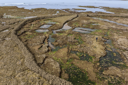 France, Charente-Maritime (17), Ile d'Oléron, Saint-Georges-d'Oléron, plage des Sables Vignier à marée basse, l'écluse à poissons des Basses (vue aérienne)