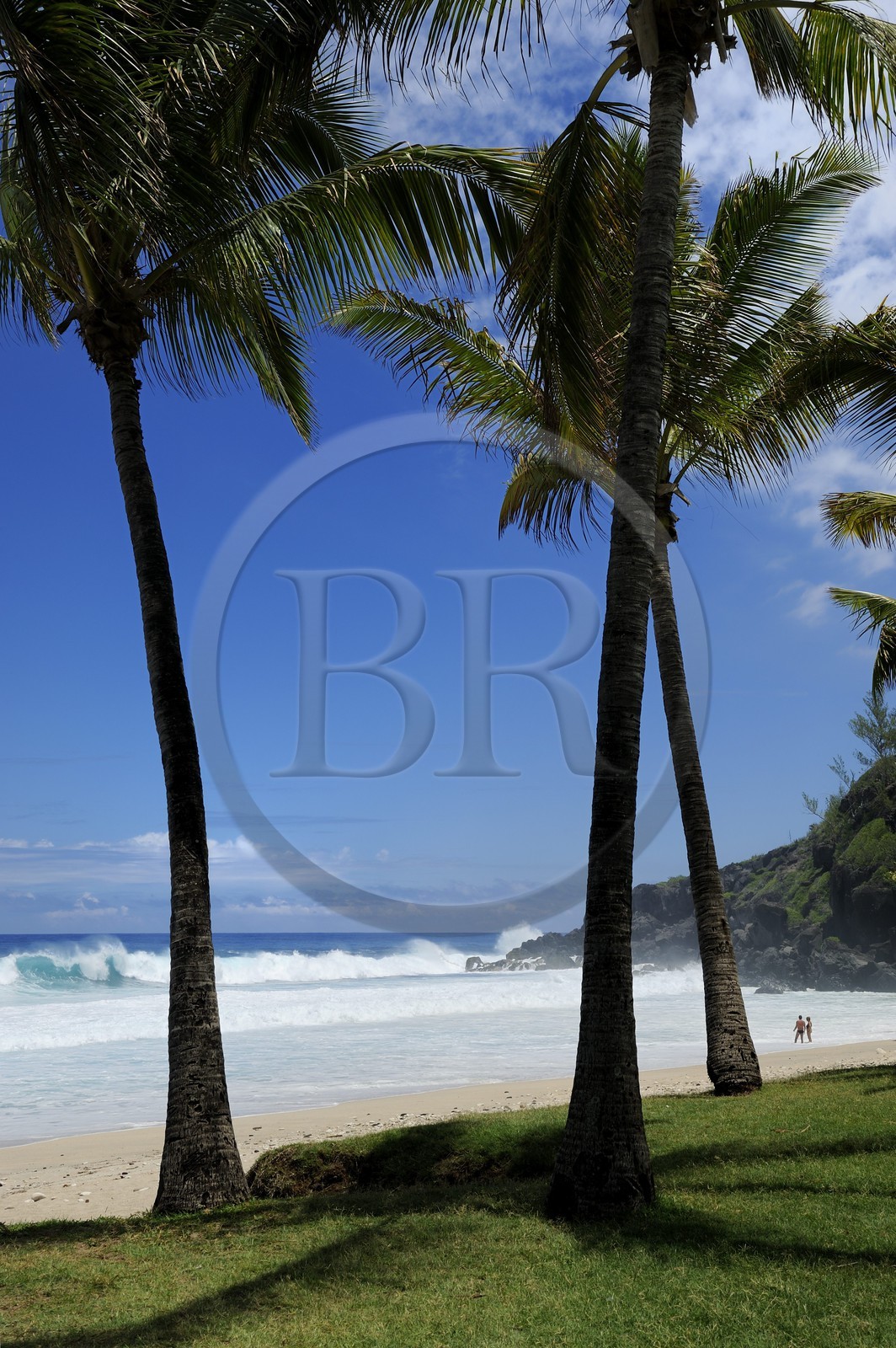 France, île de la Réunion, la côte sud, plage de Grand-Anse