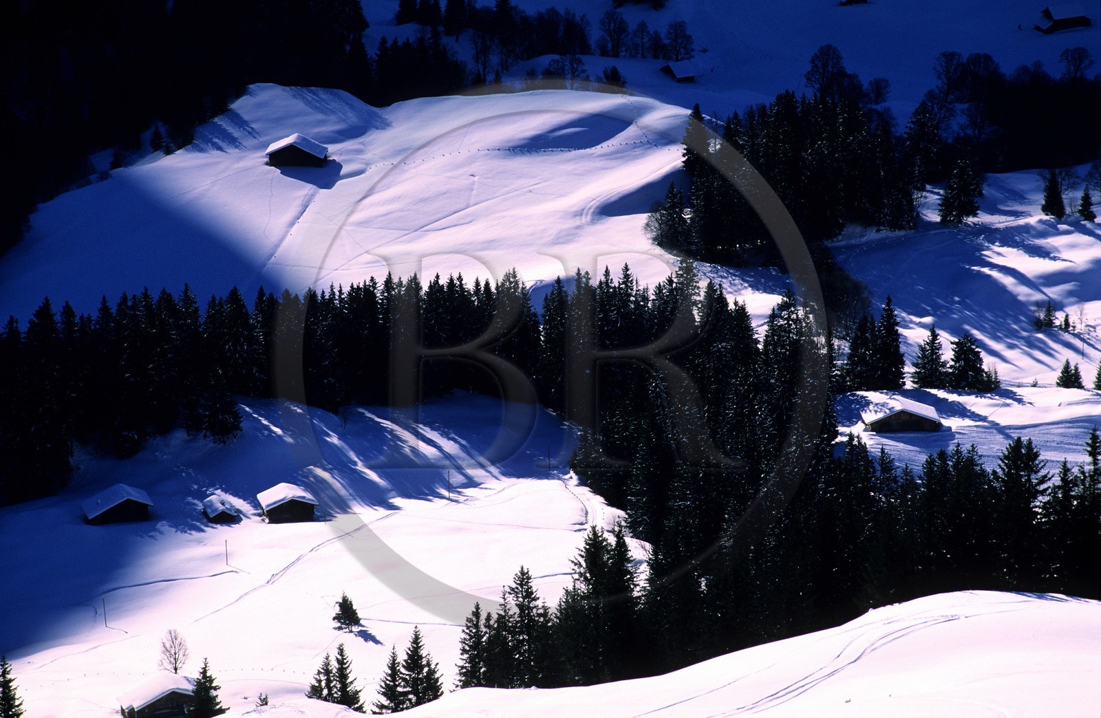 Suisse, région de Bern (Oberland Bernois), Grindelwald