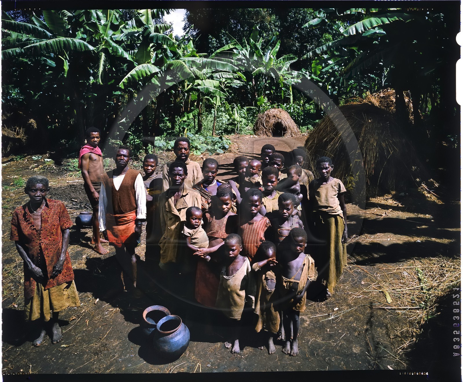 Burundi, province de Muyinga, potiers Twa ou Batwa (pygmées), leur habitat est généralement très pauvre comme ici des cases en paille, les pots (inkono) en argile sont modelés à la main sur un tesson de vieux pot par la technique du colombin, après être lissé, un dessin est imprimé à l'aide d'un bâtonnet ou d'une cordelette tressée qu'on fait rouler sur la surface du pot, lorsque les pots sont secs au bout de plusieurs jours, ils sont sommairement cuits dans un feu de branchages et d'herbes mais les cendres de la cuisson doivent apparaître lors de la vente afin de prouver que le pot n'a jamais été utilisé par les Twa car personne n'en voudrait (reproduction plan-film inversible 4x5)