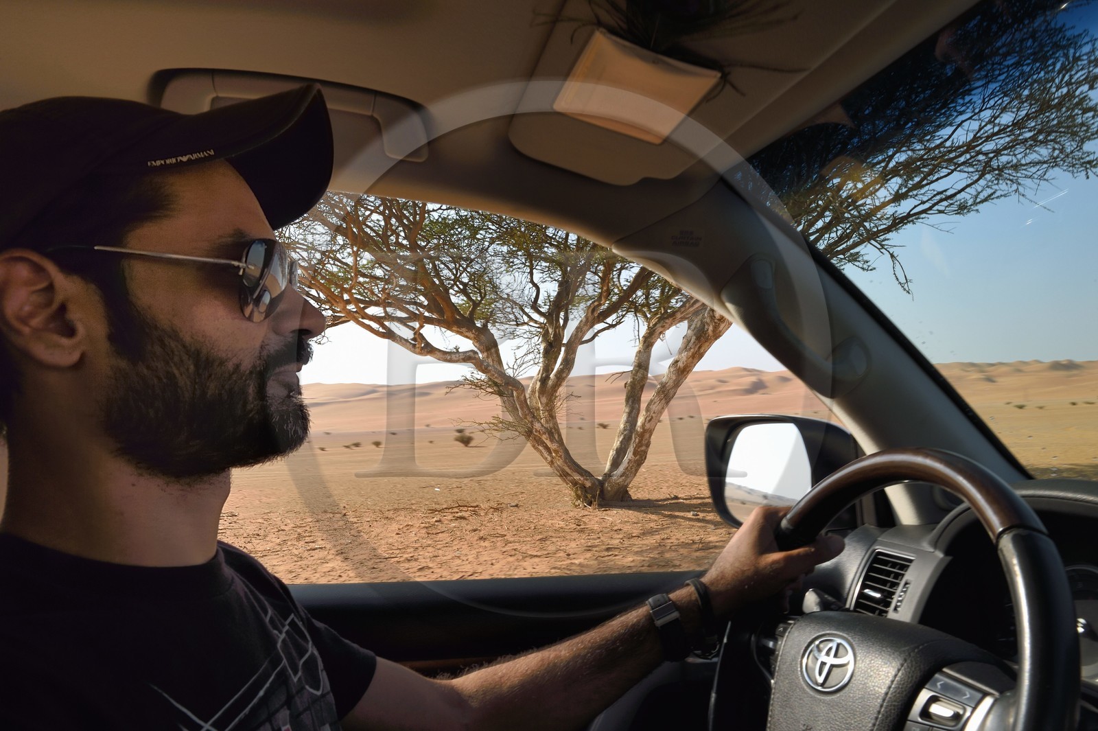 Sultanat d'Oman, gouvernorat de Ash Sharqiyah, désert des Wahiba Sands ou Sharqiya Sands, 4x4 sur la piste