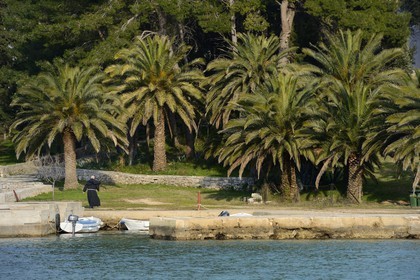 Croatia, Dalmatia, Dalmatian Coast, Ugljan Island, Preko, Franciscan friar rejoining the Franciscan Monastery of the Galovac island on his boat