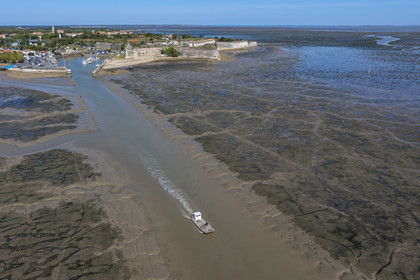 France, Charente-Maritime (17), Ile d'Oléron, le Chateau-d'Oléron, bateau ostréicole dans le chenal de sortie du port à marée basse et pecheurs à pied sur l'estran (vue aérienne)
