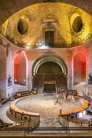 France, Oise, Chantilly, the castle of Chantilly, the Grandes Ecuries, the equestrian show hall under the dome of the former court hunting meeting place, rehearsal of a show between acrobat and horse