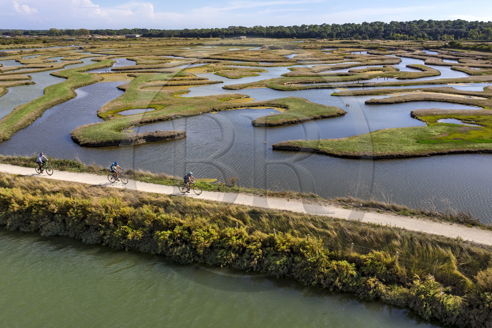 France, Vendée (85), Talmont-Saint-Hilaire, marais de la Guittière dans l'arrière pays de la Pointe du Payré, passage du Cul d’Ane, marais aménagés pour la pisciculture de dorades, mulets et anguilles (vue aérienne)