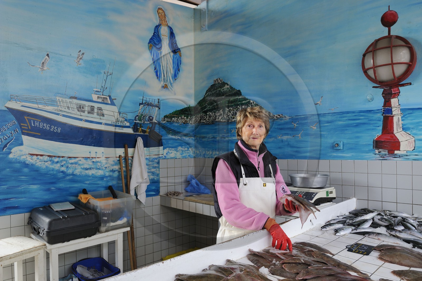 France, Seine-Maritime (76), Le Havre, port de pêche, marché aux poissons pratiquant la vente directe