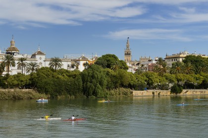 Espagne, Andalousie, Séville, en bordure du fleuve Guadalquivir, les arênes (plaza de Toros) et La Giralda en arrière plan