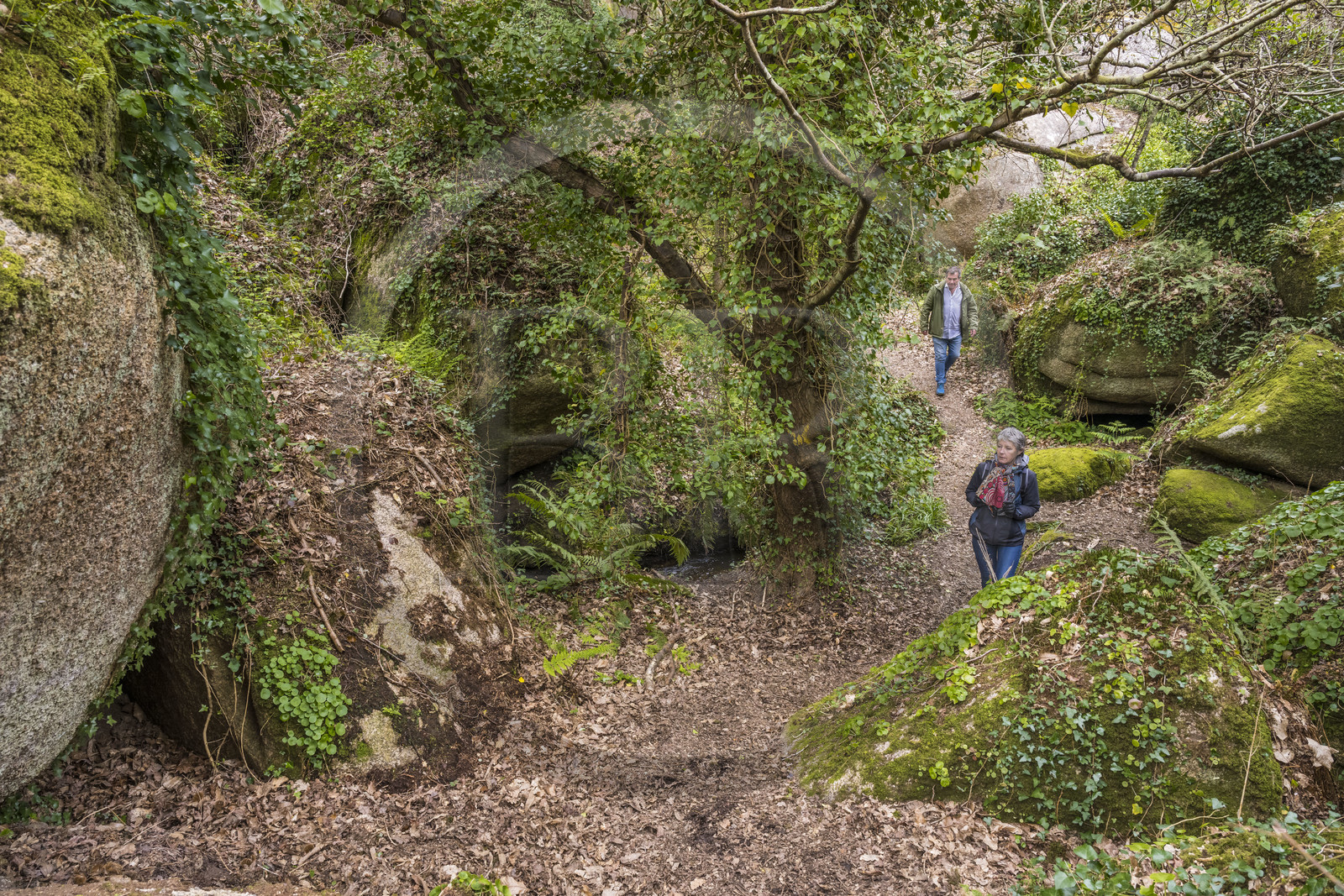 France, Côtes-d'Armor (22), Côte de Granit Rose, Trégastel, vallée des Grands Traouiero, sentier de randonnée évoluant dans le chaos de gros rochers granitiques