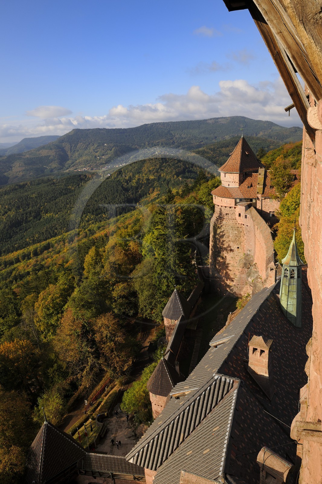 France, Bas Rhin, Orschwiller, Alsace Wine Road, Haut Koenigsbourg Castle, the great Bastion overlooking the forest around