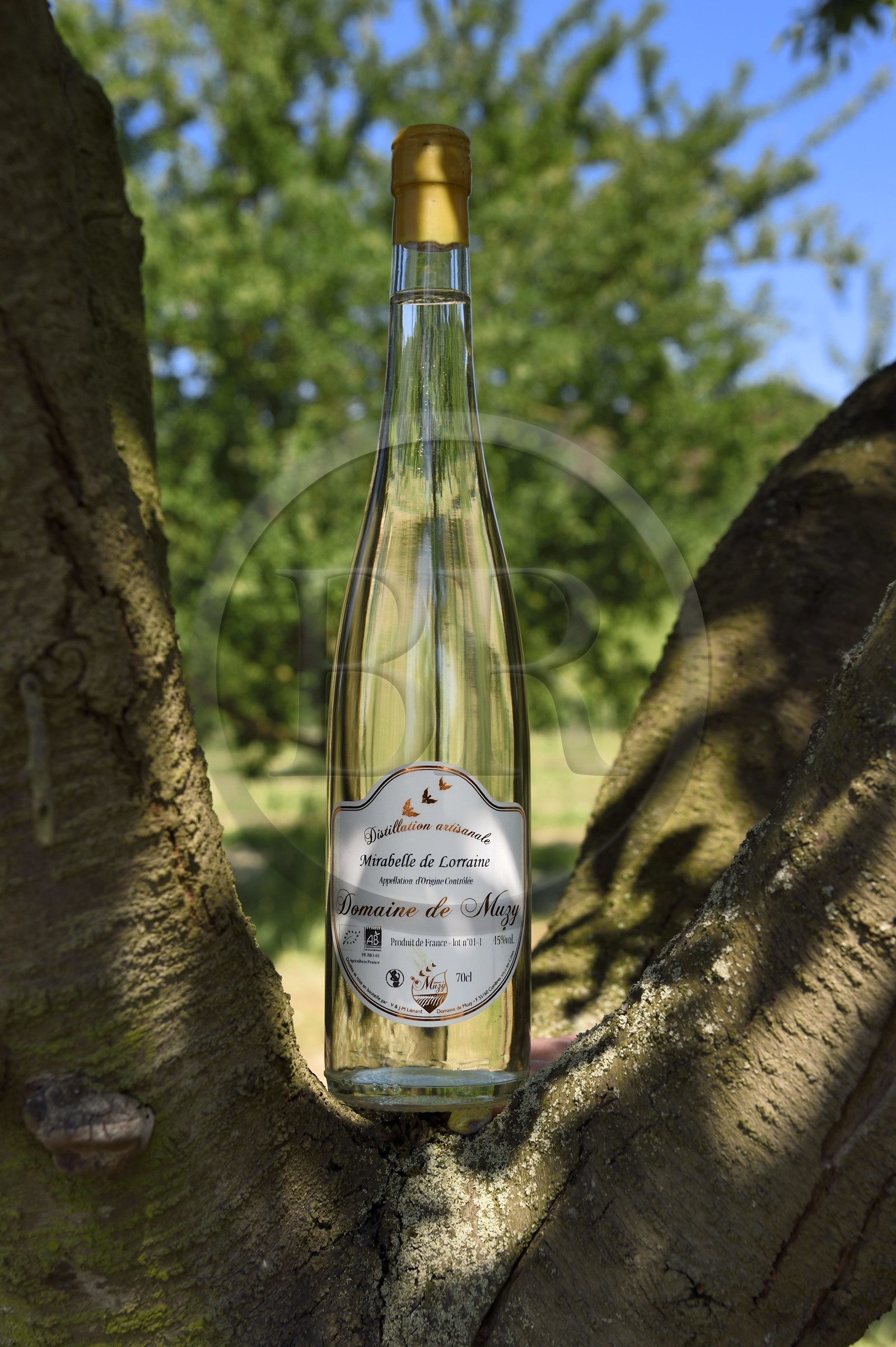France, Meuse (55), Parc régional de Lorraine, Cotes de Meuse, Combres-sous-les-cotes, Domaine de Muzy, bouteille d'eau-de-vie (schnaps) de mirabelle