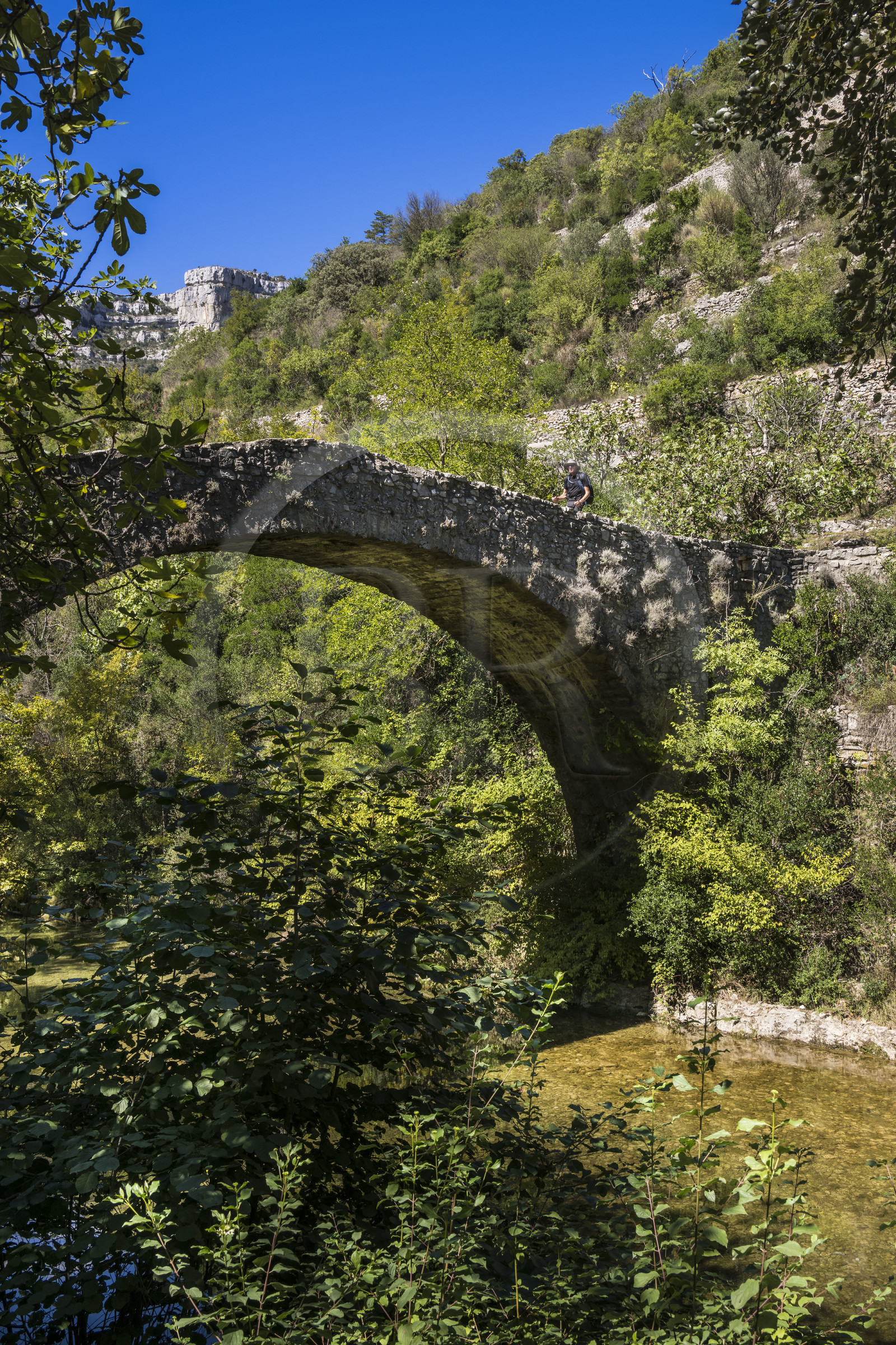 France, Hérault (34), les Causses et les Cévennes, paysage culturel de l'agro-pastoralisme méditerranéen inscrit au Patrimoine Mondial de l'UNESCO, gorges de La Vis, Saint-Maurice-Navacelles, le Cirque de Navacelles