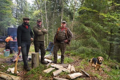 France, Haut-Rhin (68), Thannenkirch, massif du Taennchel, campement provisoire de trois bucherons communaux présent pour replanter des pins Douglas autours du Rocher des Géants