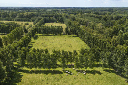 France, Deux-Sèvres (79), le Marais Poitevin, la Venise Verte, Sansais, les pâturages entourés de canaux au coeur du marais (vue aérienne)