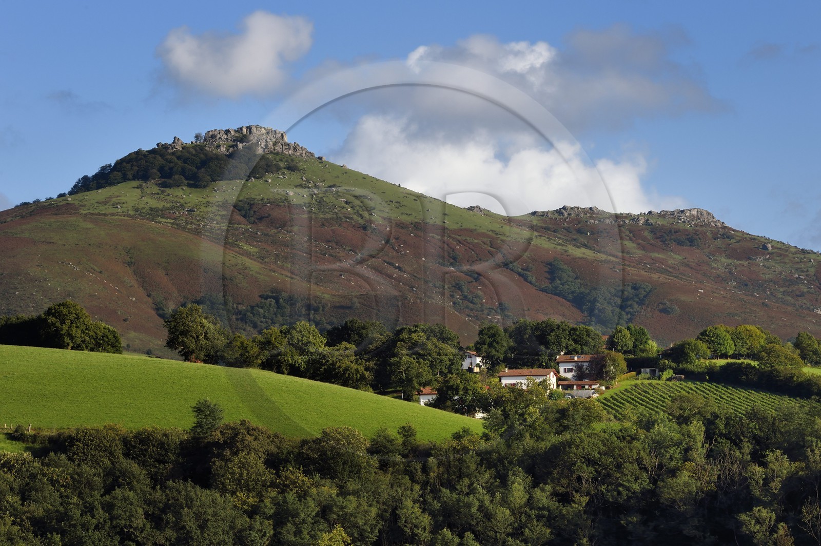 France, Pyrénées-Atlantiques (64), Pays-Basque, Espelette, hameau au pied du mont Mondarrain