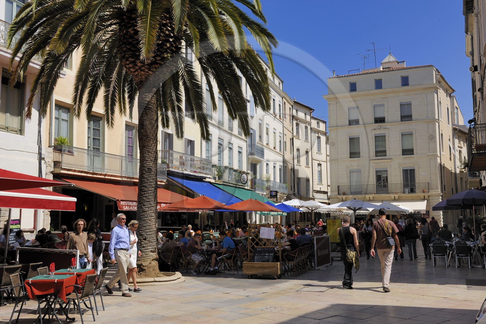 France, Gard (30), Nimes, la place du Marché