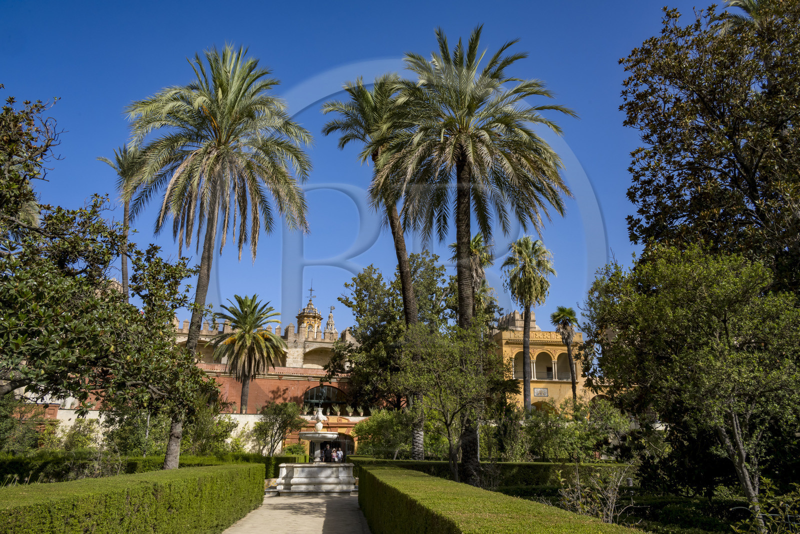 Espagne, Andalousie, Séville, Alcazar de Séville (Reales Alcazares de Sevilla), classé Patrimoine Mondial de l'UNESCO, Jardin des Dames (jardin de las Damas), fontaine de Neptune