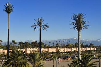 Maroc, Haut-Atlas, Marrakech, ville impériale, Médina classée Patrimoine Mondial de l'UNESCO, les remparts de la ville et l'Atlas enneigé en arrière plan, trois antennes relais de téléphonie mobile dissimulées dans des faux palmiers