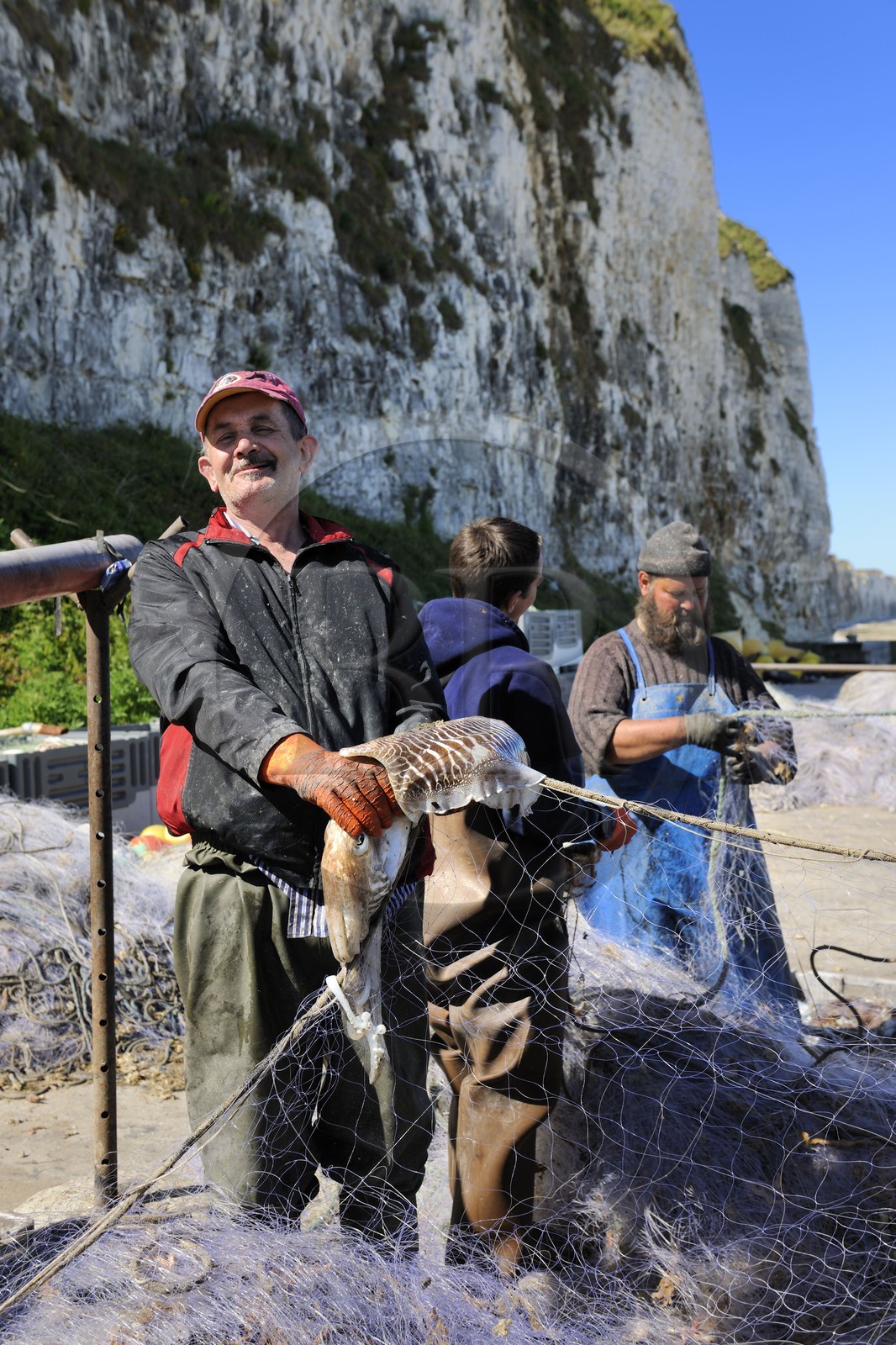 France, Seine-Maritime (76), Veules-les-Roses, pêcheur récupérant la pêche du jour des filets