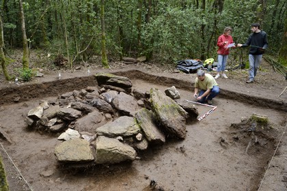 France, Morbihan (56), Trédion, forêt de Coëby ver, fouilles du site mégalithique découvert par l'archéologue Philippe Gouezin