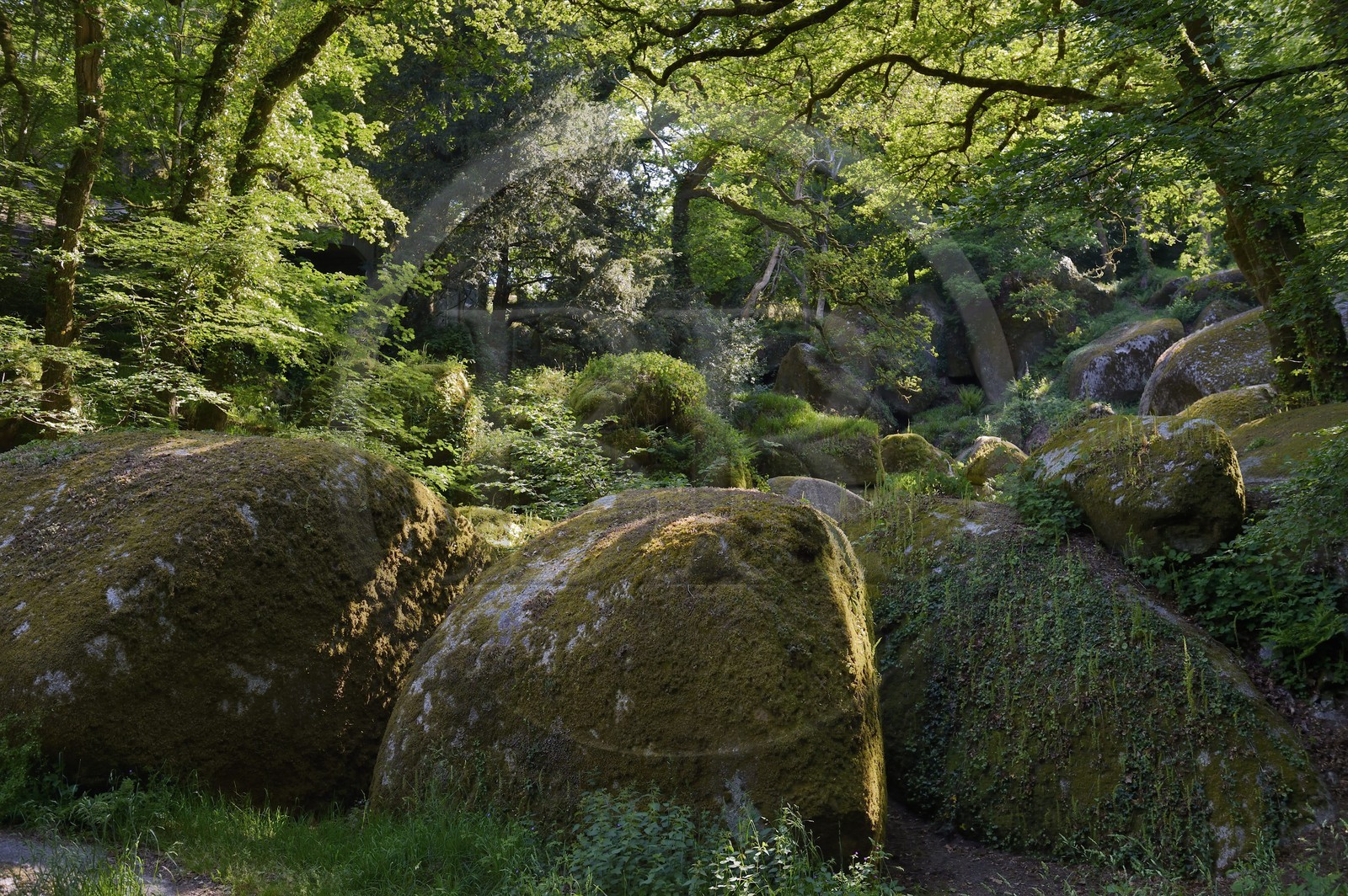France, Finistère (29), parc naturel régional d'Armorique, Huelgoat, chaos granitique de la forêt du Huelgoat