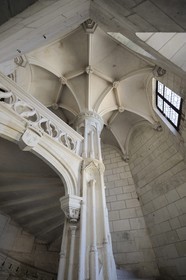 France, Loir et Cher, Loire Valley, listed as World Heritage by UNESCO, Chaumont sur Loire, the castle