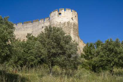 France (30), Gard, Villeneuve-lès-Avignon, Fort Saint André et ses remparts
