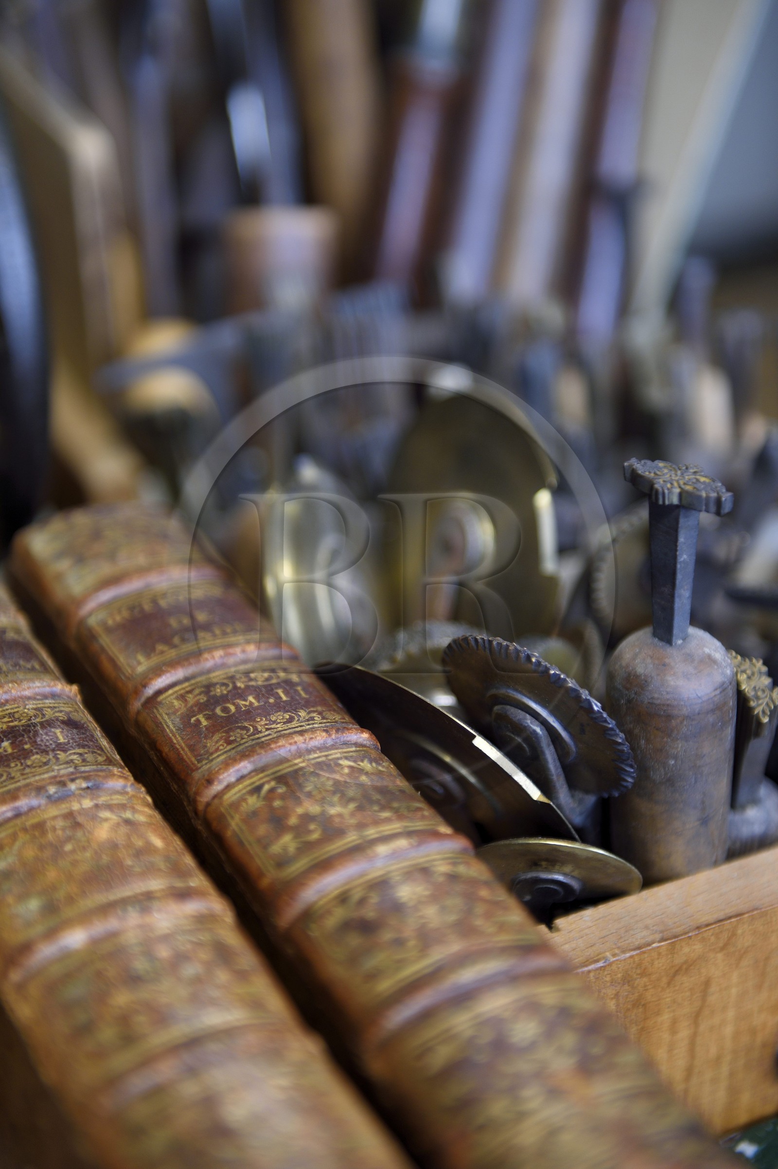 France, Dordogne (24), Périgord Blanc, Périgueux, atelier de reliure d'Art, dorure et cartonnage de Christophe et Nathalie Legrand