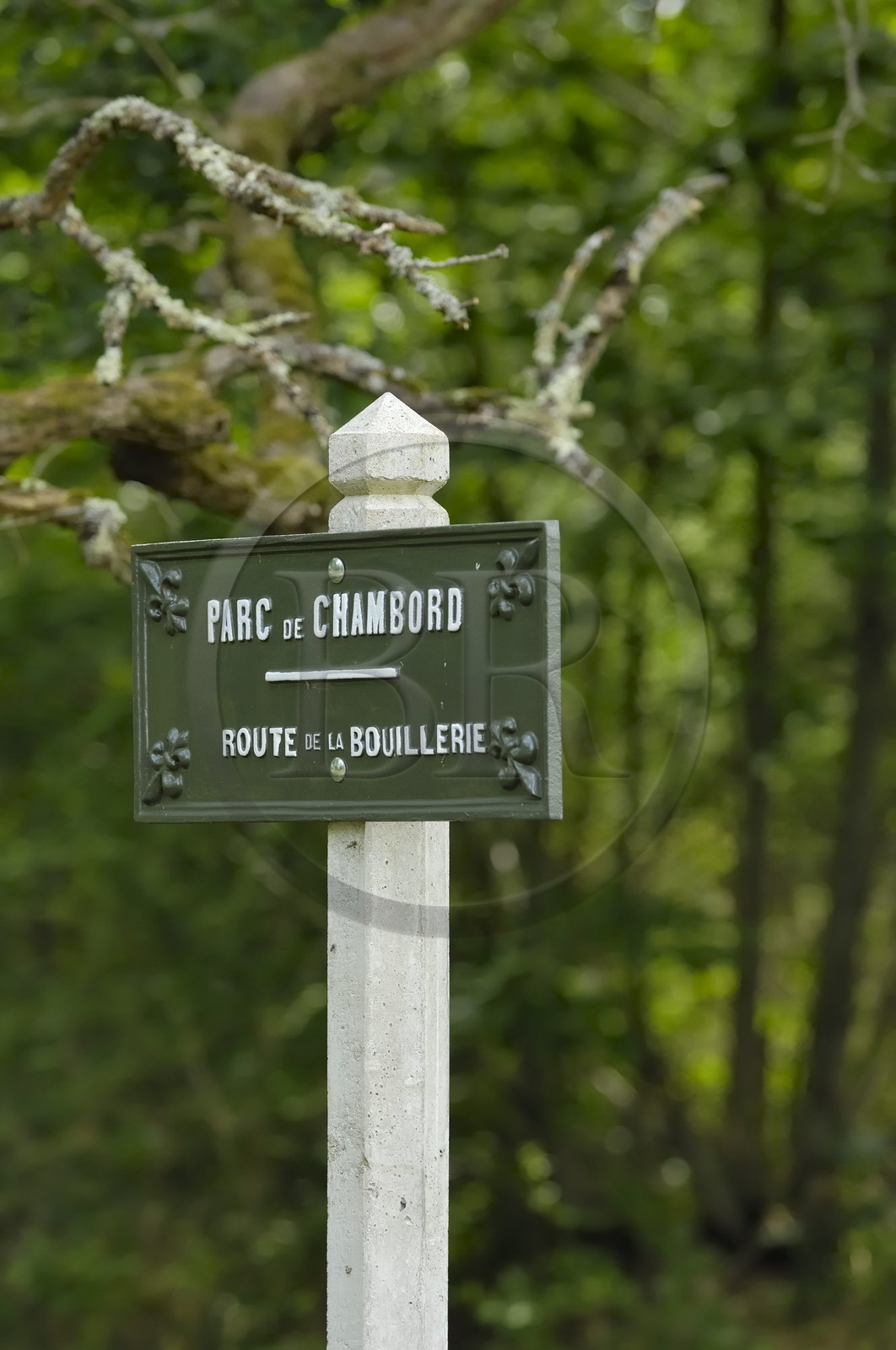 France, Loire et Cher, domaine du château de Chambord
