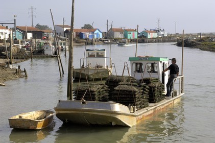 France, Charente-Maritime (17), Ile d'Oléron, le chenal d'Ors, chaland à huîtres dans le port ostréicole