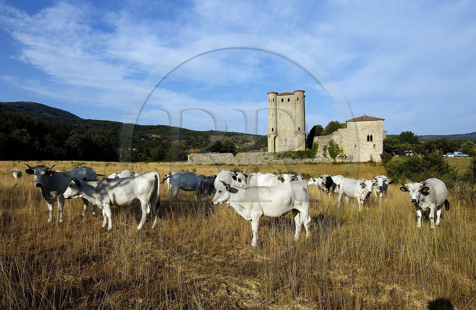 France, Aude, Arques donjon in the heart of the Corbieres