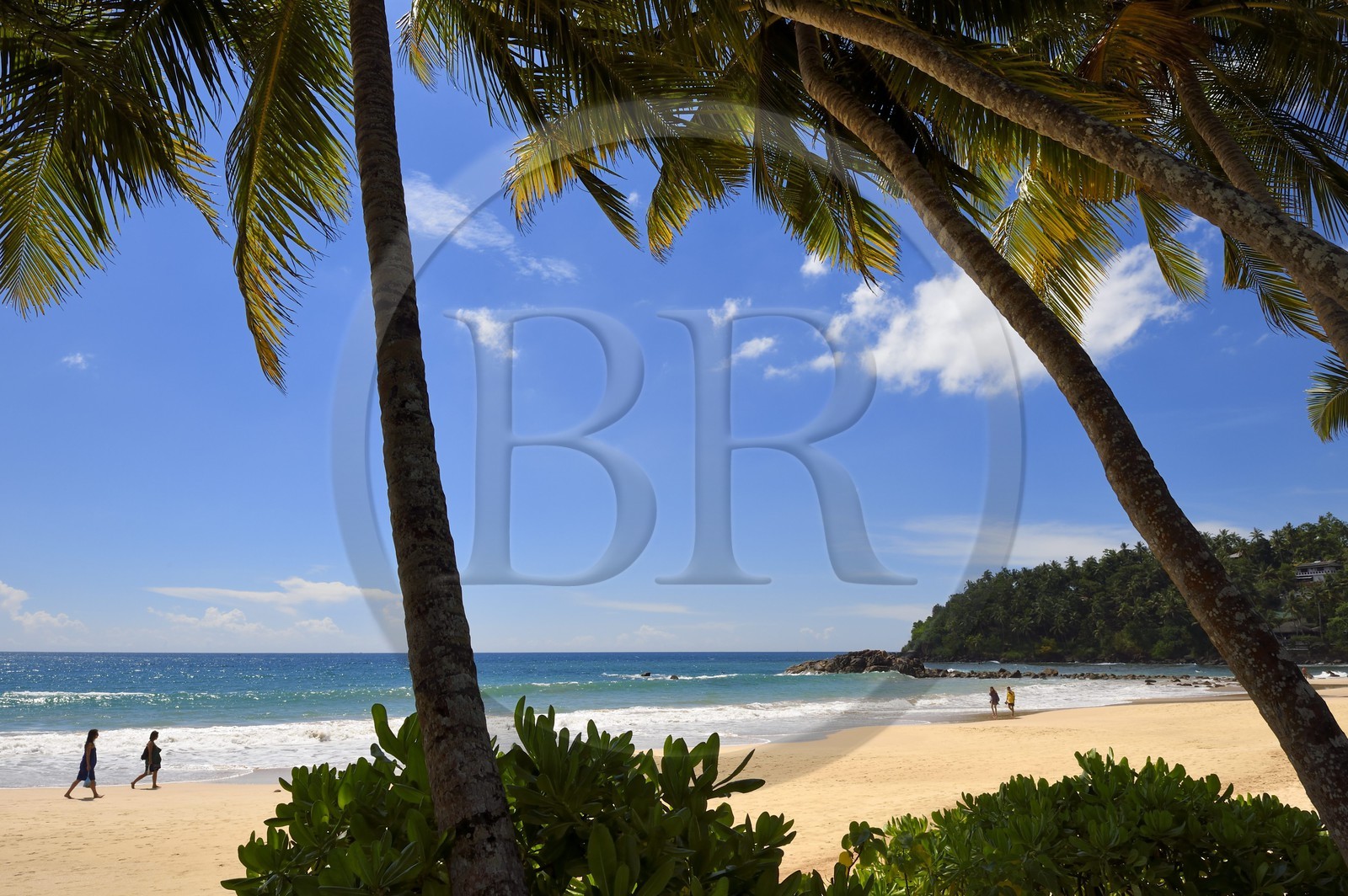 Sri Lanka, Province du Sud, Weligama, plage de Mirissa