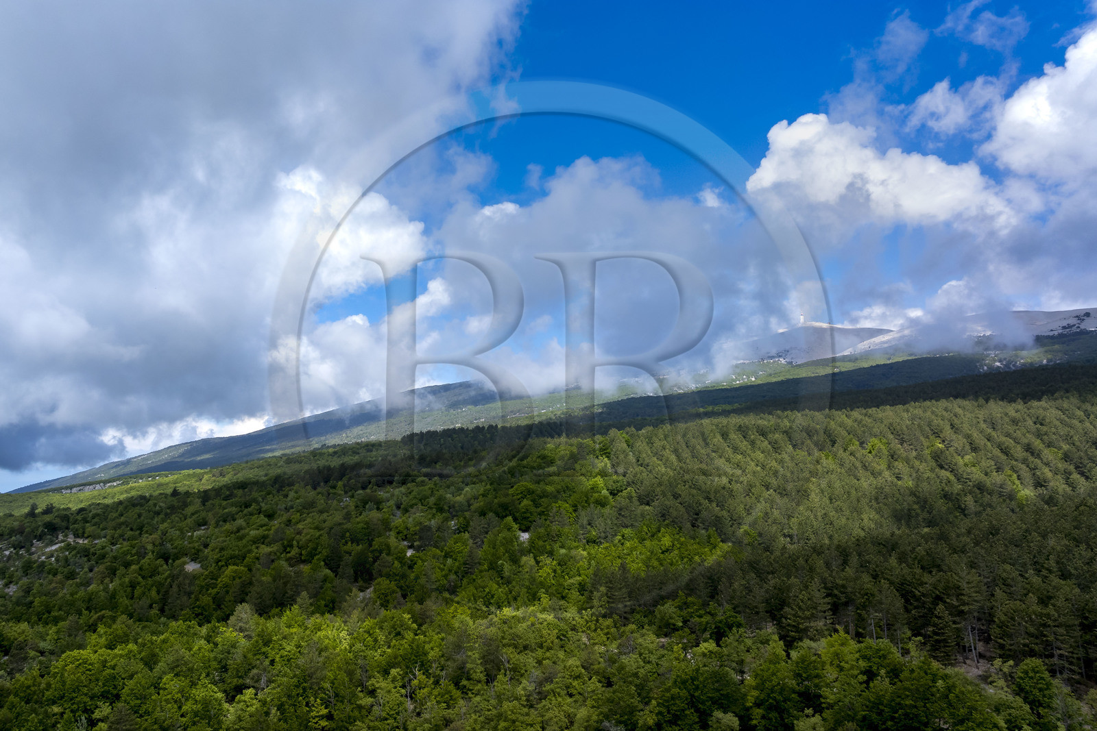 France, Vaucluse (84), Parc Naturel Régional du Mont Ventoux, Bedoin, la station météo au sommet du Mont Ventoux (1910m) et la forêt du versant sud de la montagne