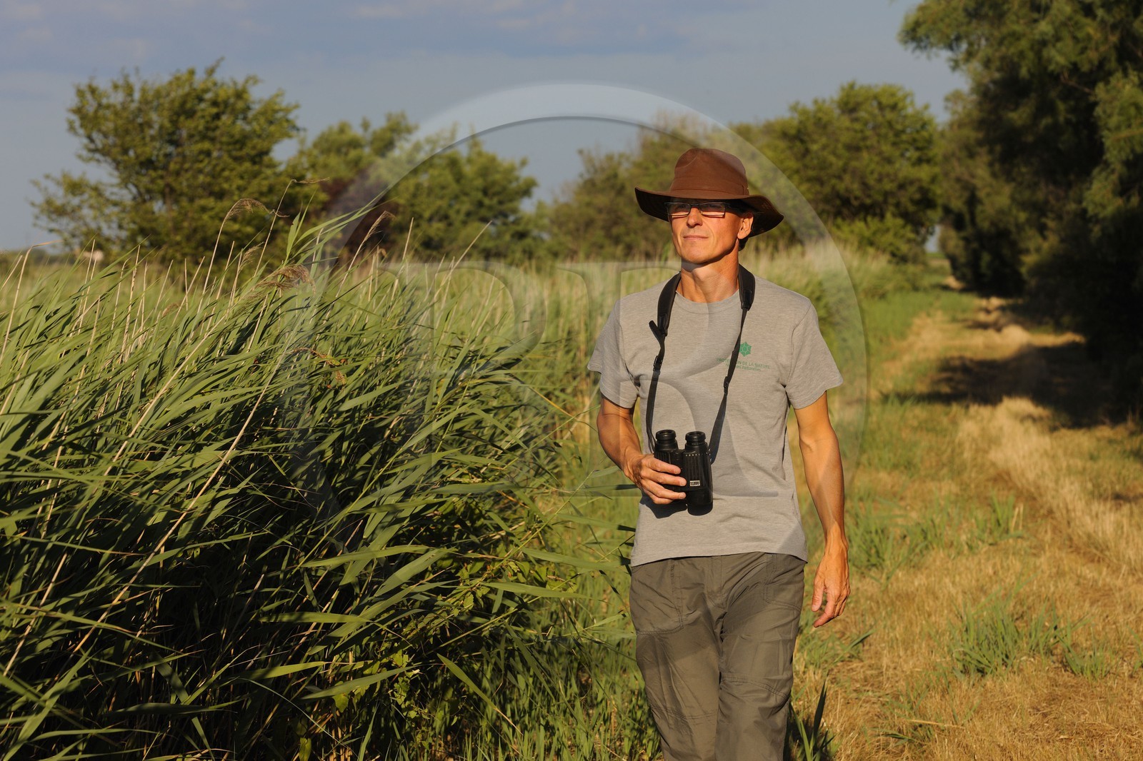 France, Hérault (34), région du Cap d'Agde, la Réserve Naturelle Nationale du Bagnas à l’ouest de l’étang de Thau, son directeur Renaud Dupuy de la Grandrive