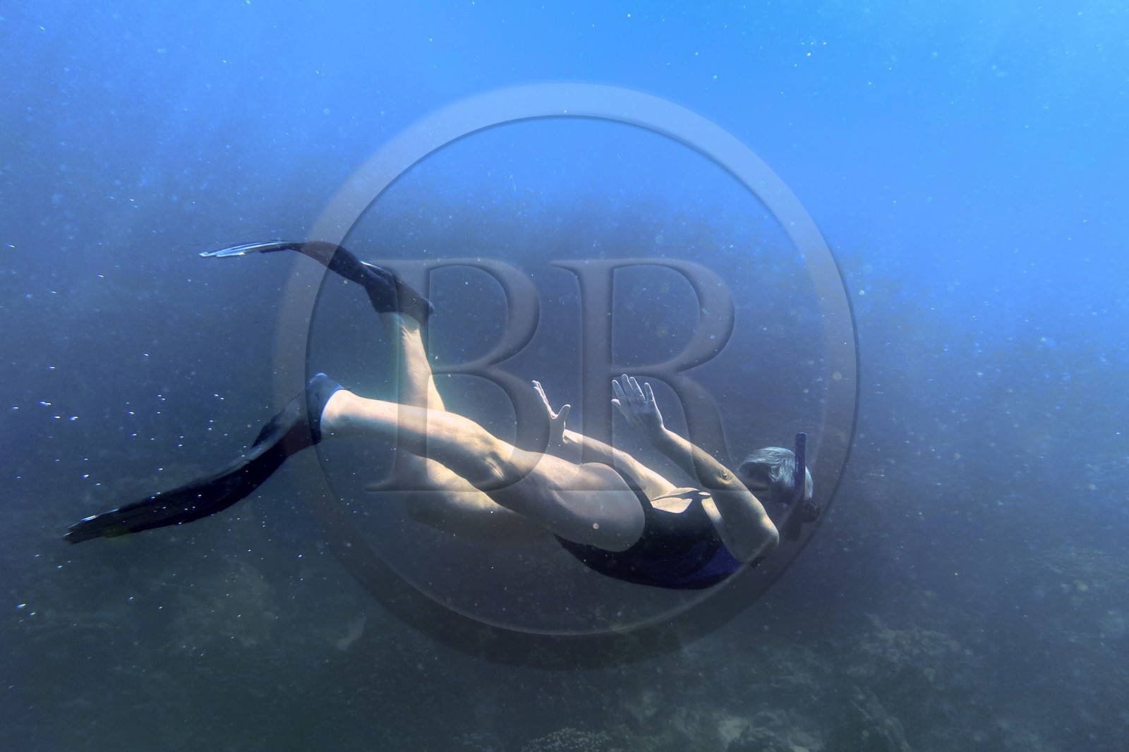 Sultanat d'Oman, gouvernorat de Mascate, réserve naturelle des Iles Daymaniyat, snorkeling