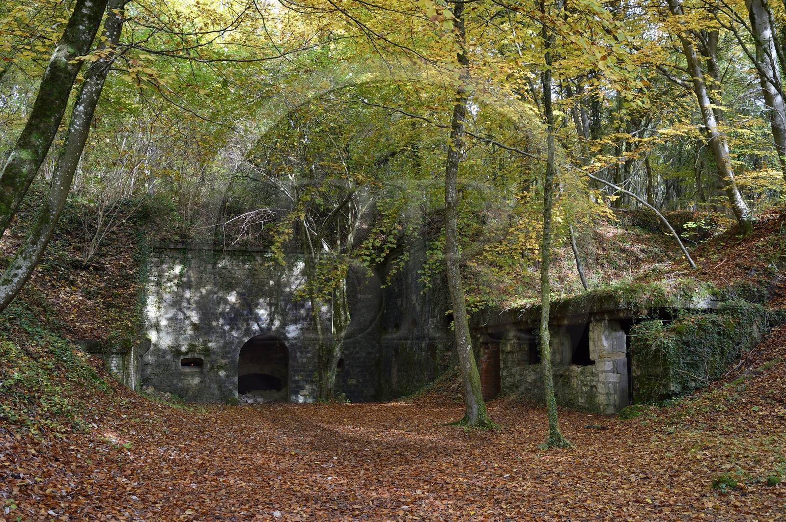 France, Meuse (55), région de Douaumont, bataille de Verdun, le Fort de Souville, entrée de guerre