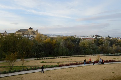 Espagne, Andalousie, Cordoue, les rives du fleuve Guadalquivir