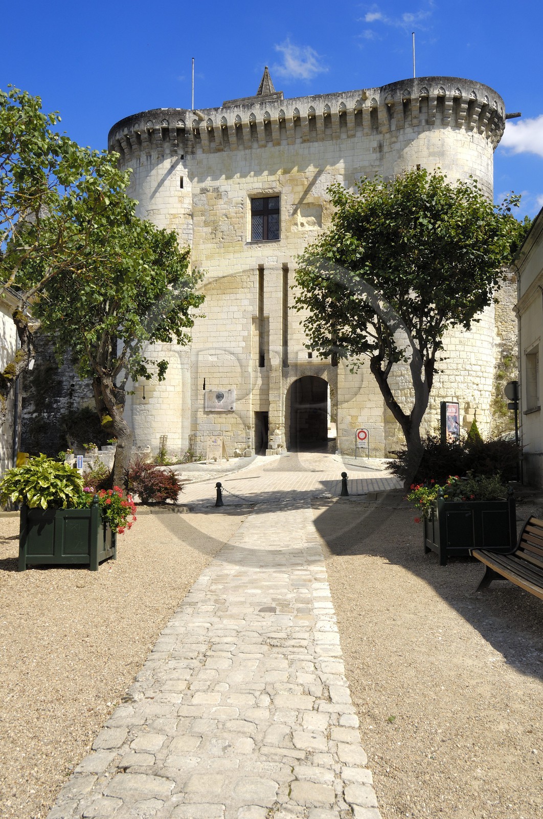 France, Indre et Loire, Loches, the castle Royal gate