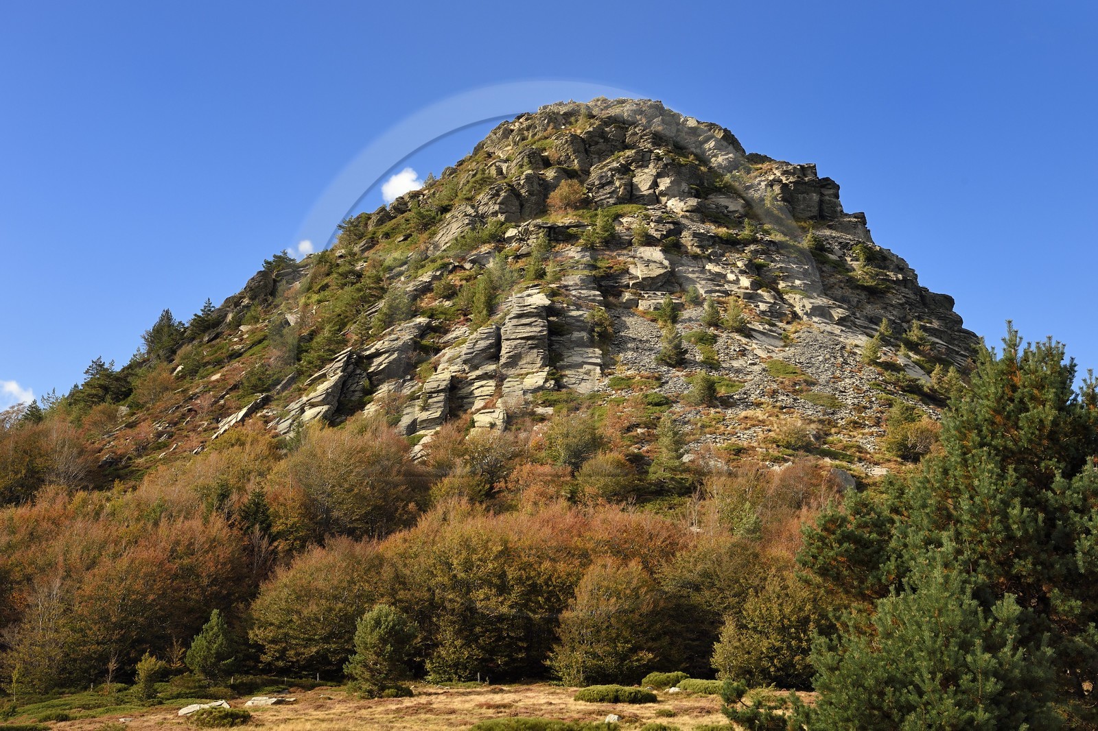 France, Ardèche (07), parc naturel régional des Monts d'Ardèche, Massif du Mézenc, le Mont Gerbier-de-Jonc (suc de 1551 m) où la Loire trouve sa source