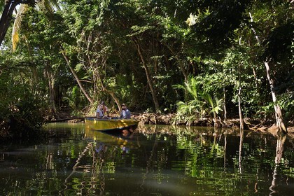 Caribbean, Dominica Island, Portsmouth, tourists discovering the banks of the Indian River by boat