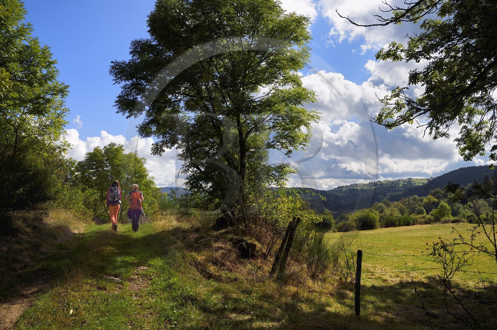 France, Haute-Loire (43), Le Cros de Lafarre, randonneuses sur un chemin du plateau du Vivarais-Vellave qui domine la vallée de la Loire