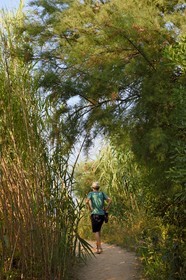 France, Var (83), Saint-Tropez, sentier des Graniers