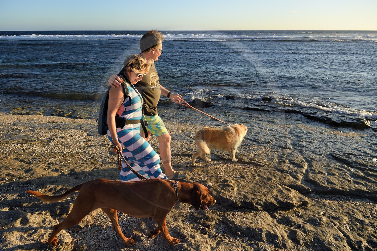 France, Ile de la Reunion, côte sud, couple de promeneurs avec leurs chiens sur la plage de Petite-Ile