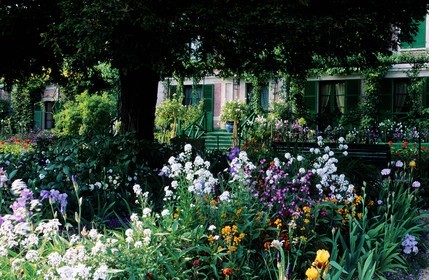 France, Eure (27), Giverny, jardin de Claude Monet, fleurs de mai